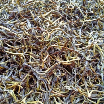 手工茶天然纯手工茶，无公害，不施肥，味道清香可口