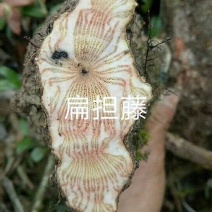 鸡血藤，，，，，摆摊用的各个品种，22222