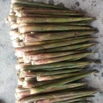 湖北小竹笋量大优惠对接电商批发，厂家