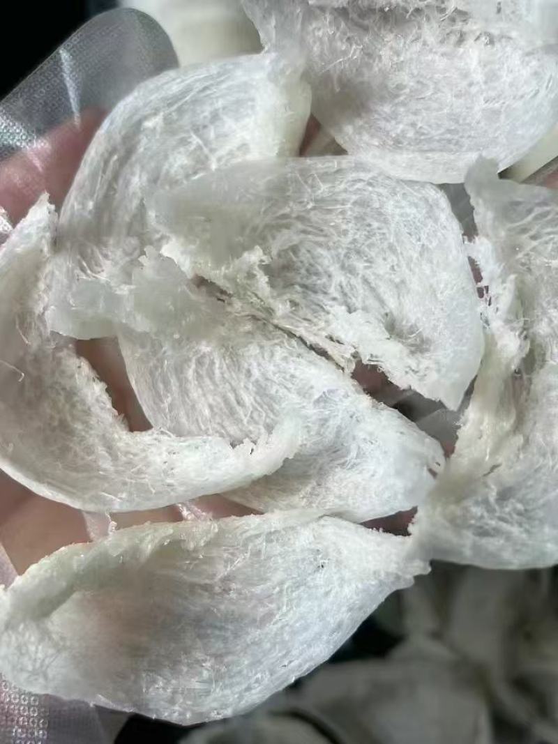 燕窝各种滋补类药材，各规格的燕窝可追溯源燕窝