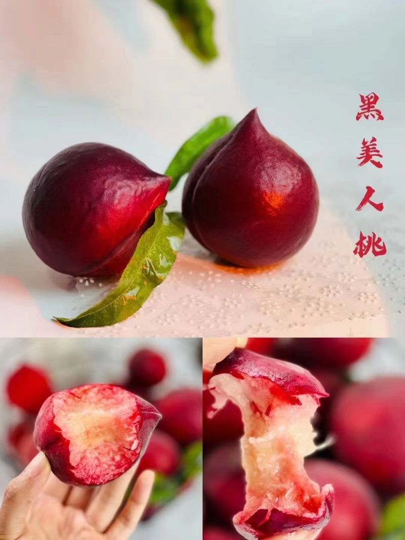 毛桃，攀枝花云南红宝石，攀枝花黑美人，水蜜桃，红宝石鹰嘴