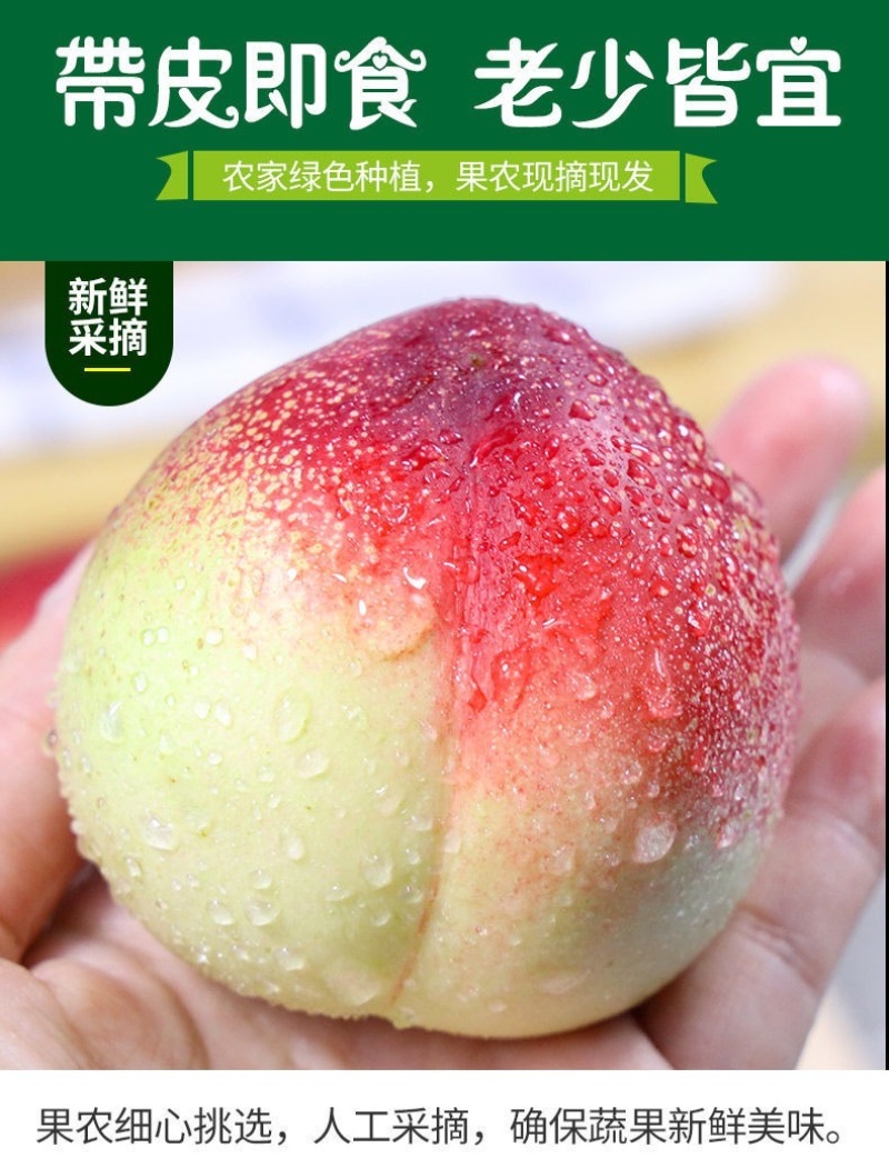 攀枝花露天油桃，白肉，黄肉，都有，早熟，可整车打冷，可零