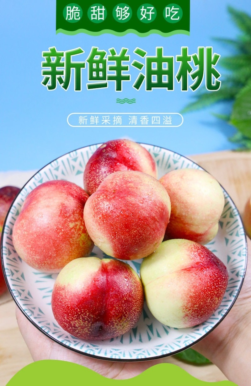 攀枝花露天油桃，白肉，黄肉，都有，早熟，可整车打冷，可零