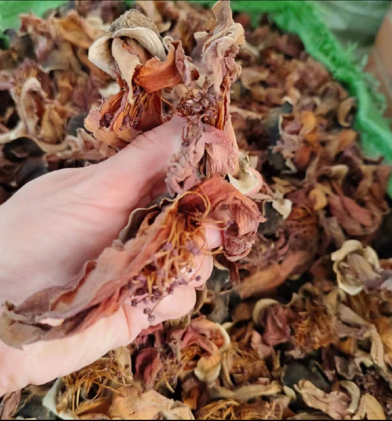 木棉花新货干货木棉花无硫，原汁原味让您喝到大自然味道