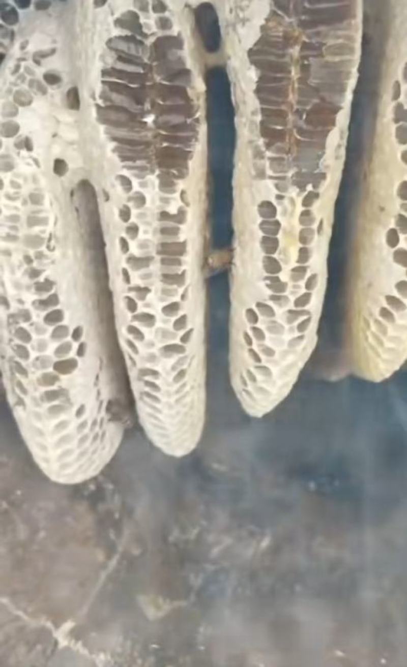 天然黑蜂蜜，***，天然无公害