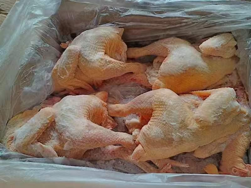 黄脚公鸡，规格齐全，厂家直接发货，价格**