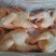 黄脚公鸡，规格齐全，厂家直接发货，价格**