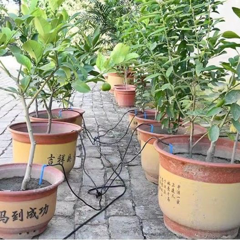 【欢迎来电】滴灌滴剑套装一出二，一出四，花卉果园滴灌盆栽
