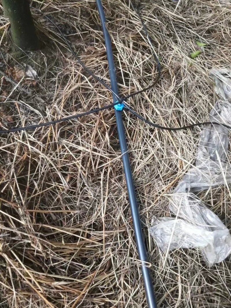 【欢迎来电】滴灌滴剑套装一出二，一出四，花卉果园滴灌盆栽
