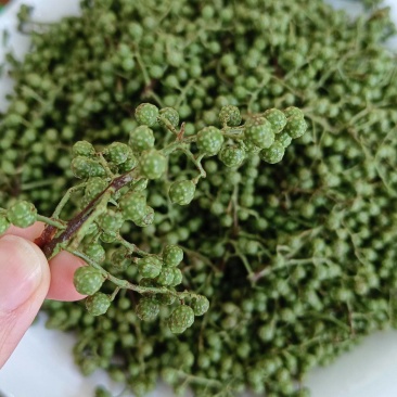 包邮江津保鲜花椒青花椒麻椒350g*60袋/箱厂家直发