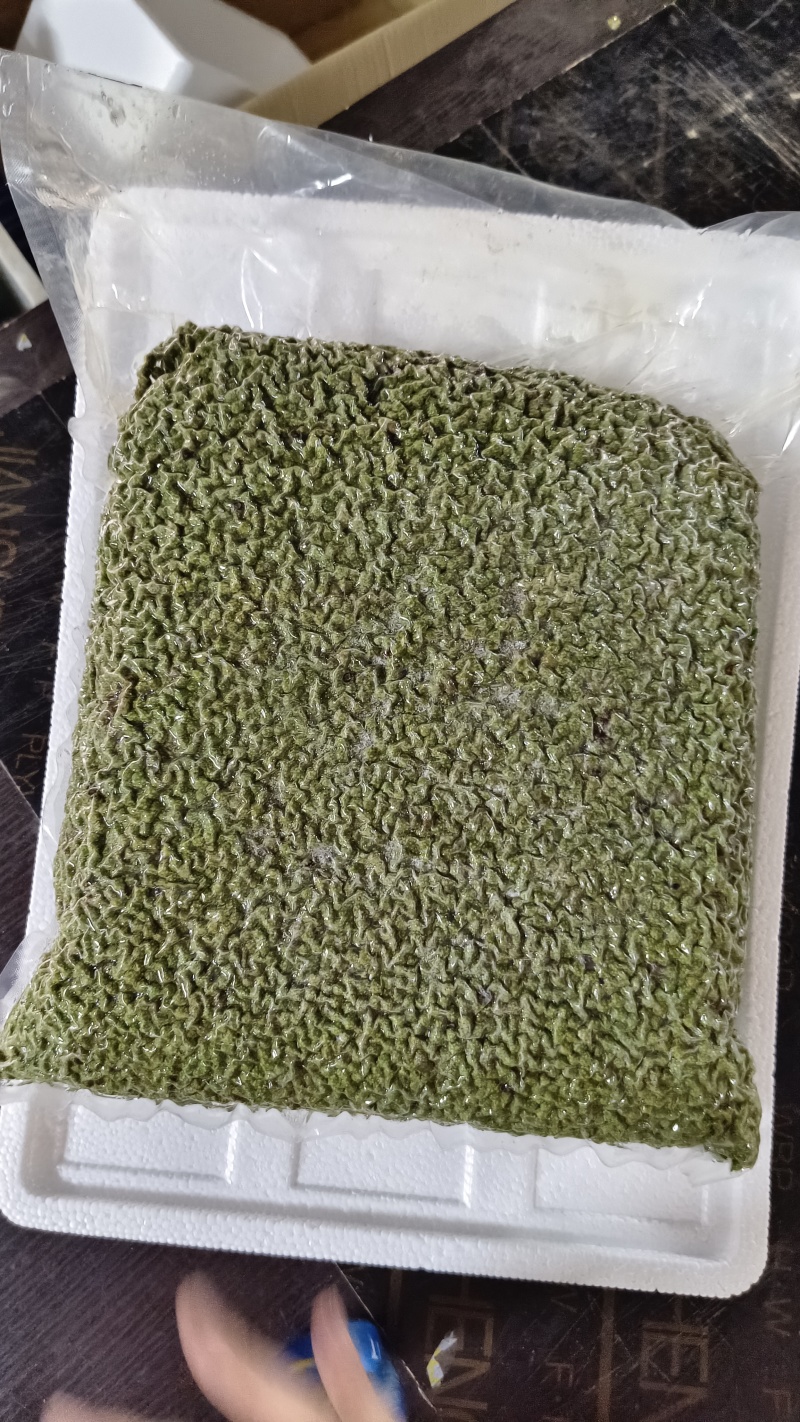 包邮江津保鲜花椒青花椒麻椒350g*60袋/箱厂家直发