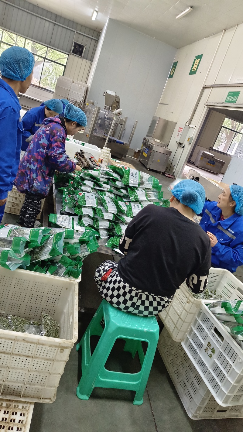 包邮江津保鲜花椒青花椒麻椒350g*60袋/箱厂家直发