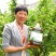 重庆正宗花椒油藤椒油麻油厂家直销批发
