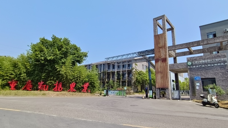重庆正宗花椒油藤椒油麻油厂家直销批发