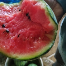 小糖丸西瓜