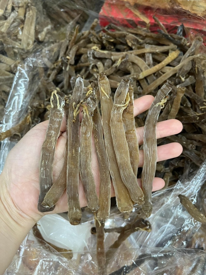 北海深海灰沙虫一斤也是批发价格