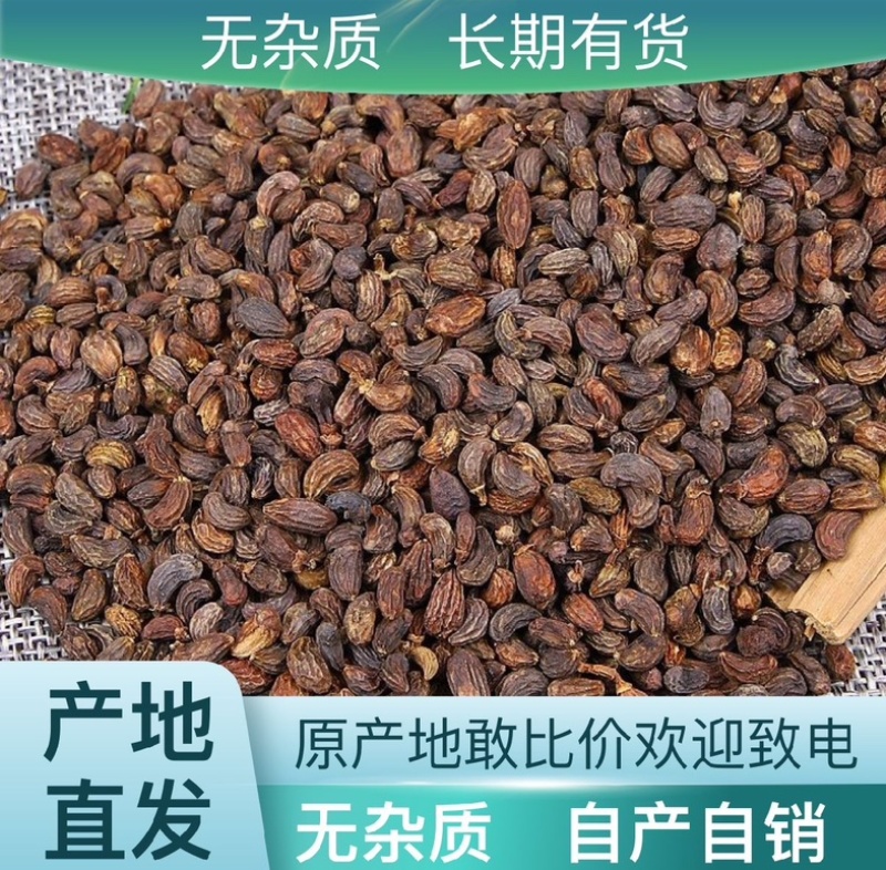 中药材【女贞子】随行就市支持视频看货，可发往全国市场！