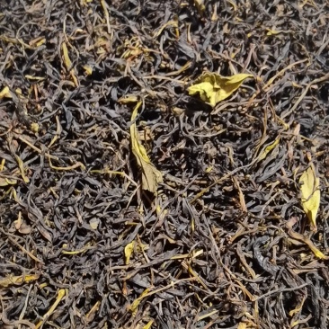 蜜兰香毛茶，需要的私聊我