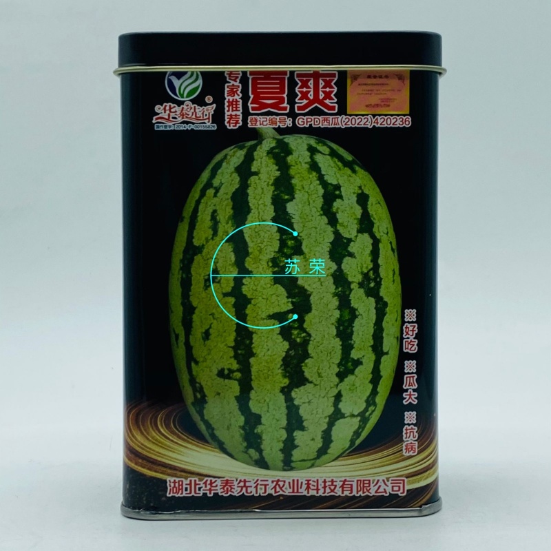 夏爽西瓜种子杂交中熟抗病耐低温全耐运输口感好