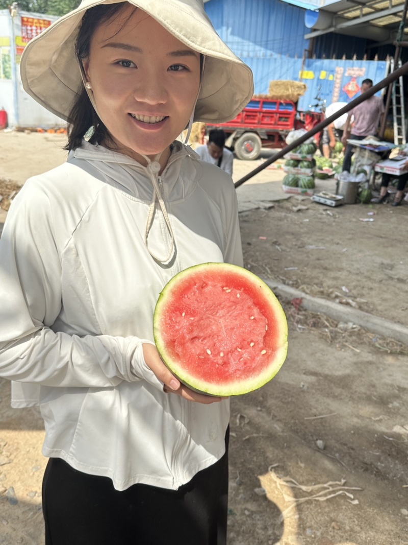 精品美都西瓜，梦中情瓜，西瓜之乡，优选精品西瓜，