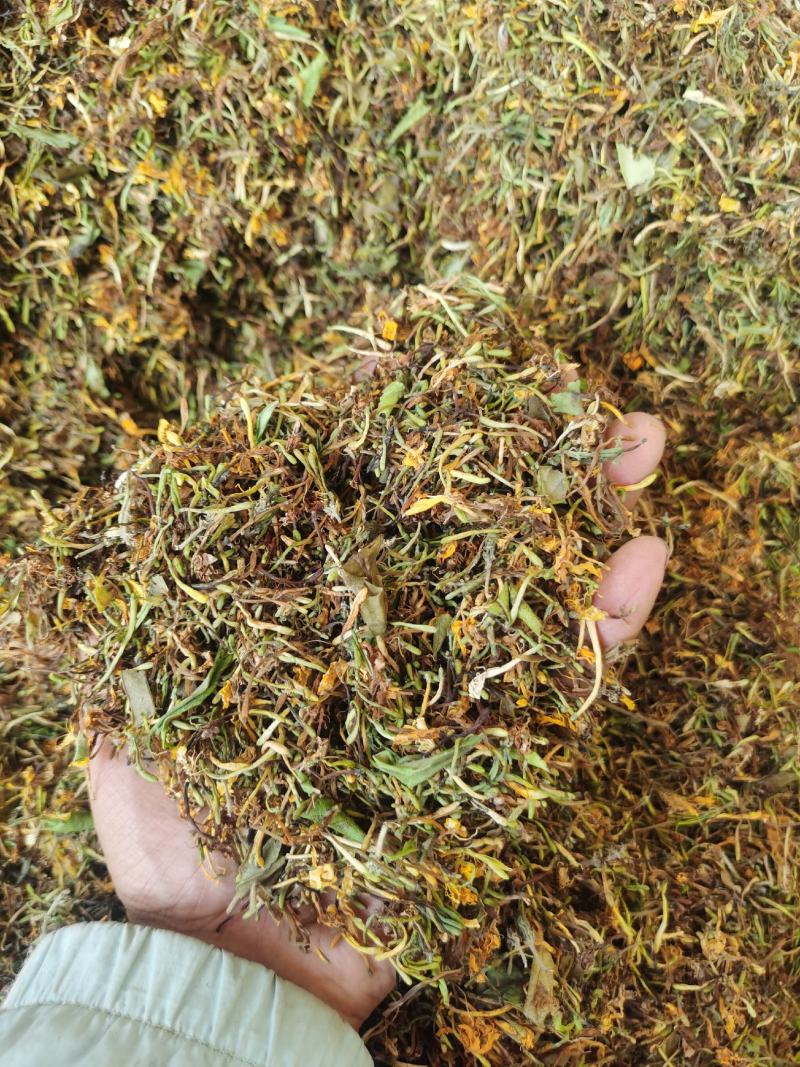 金银花，干货包邮，太阳晒干