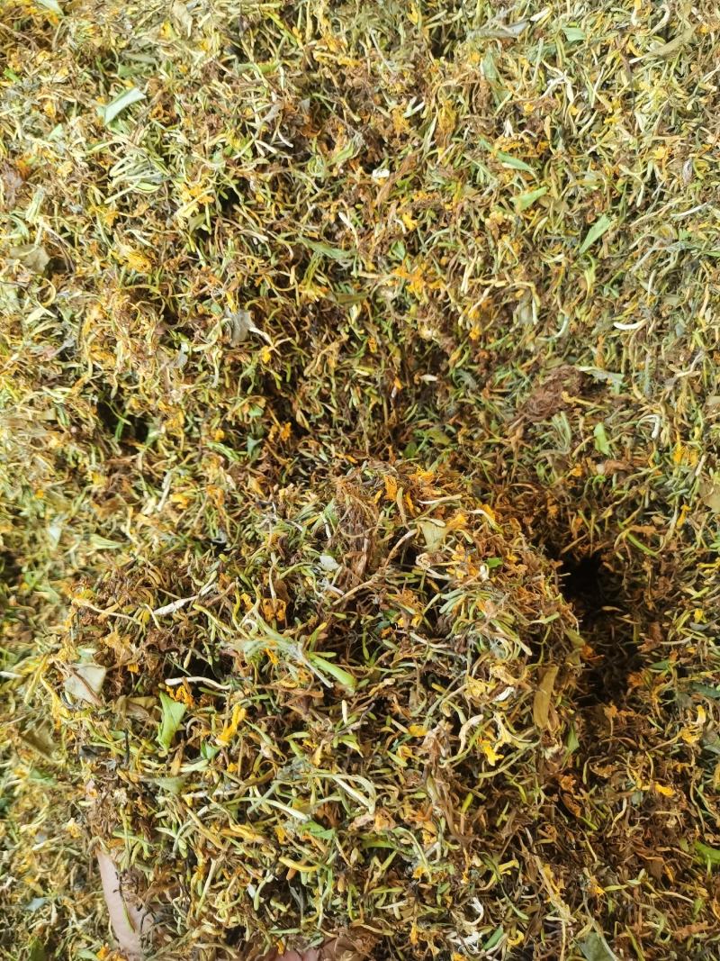 金银花，干货包邮，太阳晒干