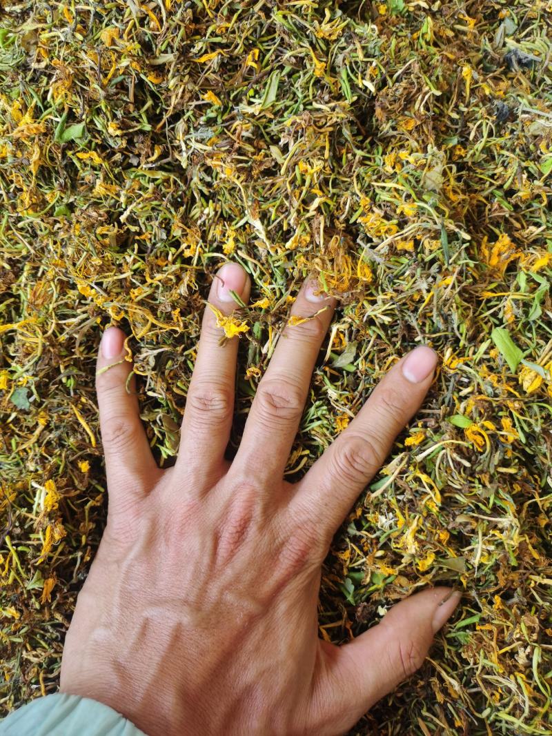 金银花，干货包邮，太阳晒干