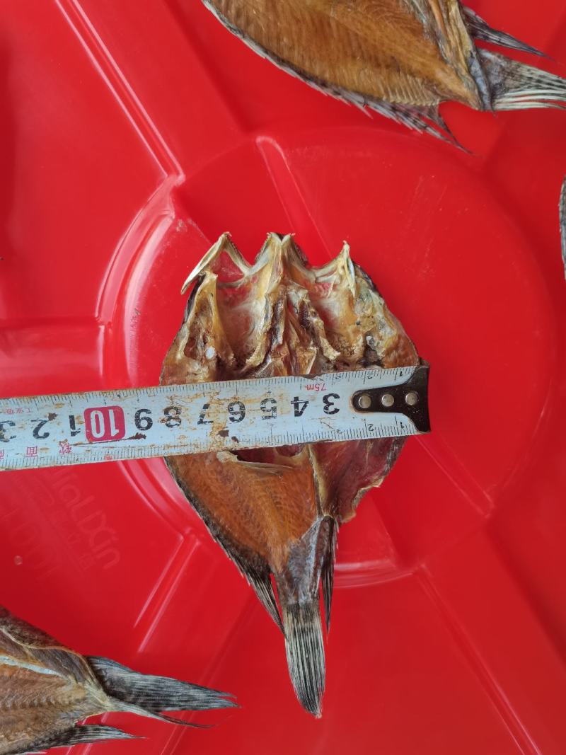 淡水石斑/鱼干/海南省/淡盐/纯野生/水库鱼/包邮/批发