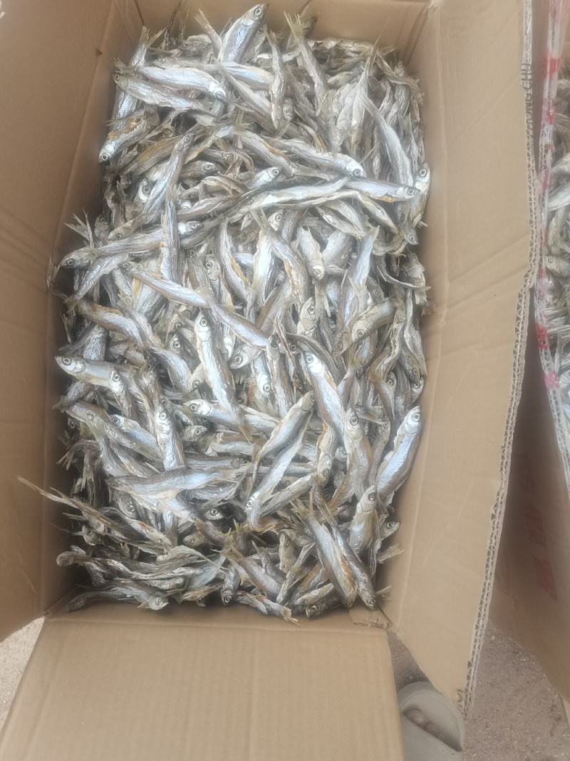 烘干蓝刀/水库鱼/河鱼/烘干蓝刀/餐条/包邮
