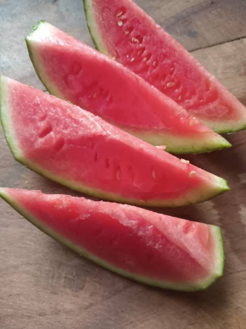 陕西938吊兰西瓜，皮薄肉甜，清凉解暑！