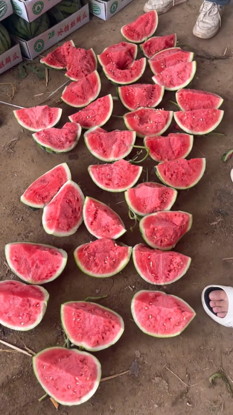 【推荐】无籽美都，麒麟西瓜。个个过手保质保量，发全国！