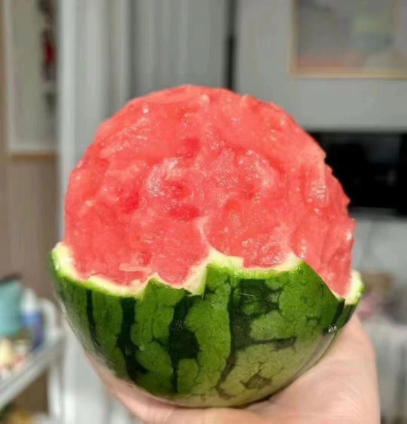西瓜早春红玉西小糖丸一手货源头茬无籽对接电商商超欢迎联系