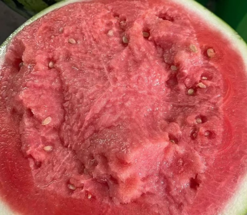 夏邑西瓜，麒麟美都西瓜，产地供货，糖度13，对接市场，
