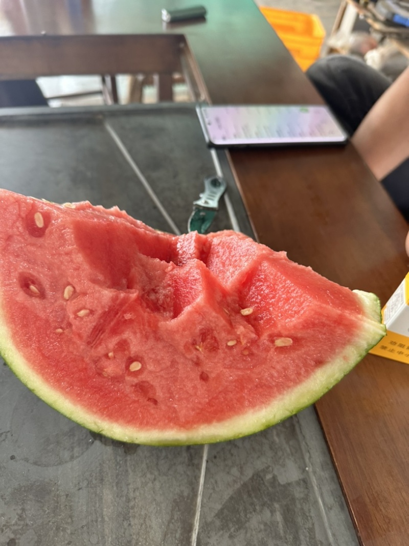 夏邑西瓜，麒麟美都西瓜，产地供货，糖度13，对接市场，