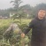 大五星枇杷苗.营养杯枇杷苗.枇杷苗.基地批发品种保证