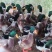 鱼塘混养青头鸭大青头6斤起抓