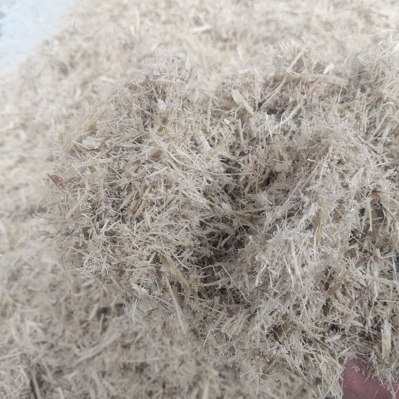 广西糖厂甘蔗渣，厂家一手货源。