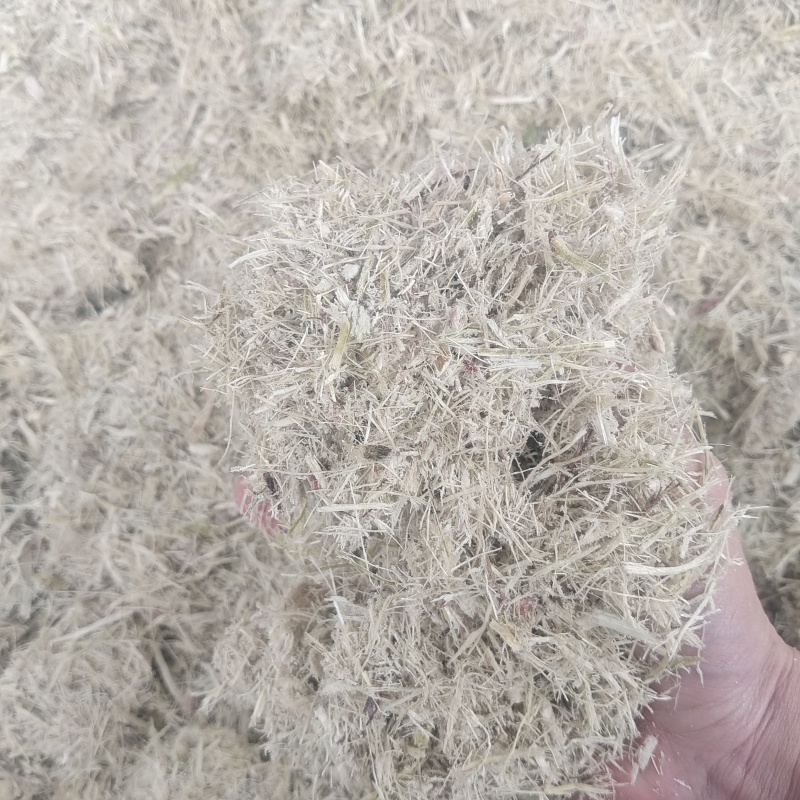 广西糖厂甘蔗渣，厂家一手货源。