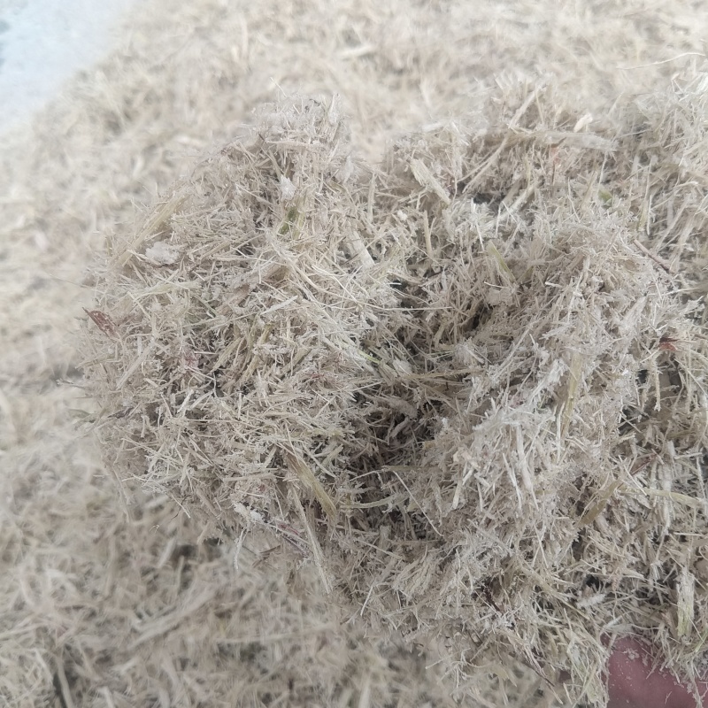 广西糖厂甘蔗渣，厂家一手货源。