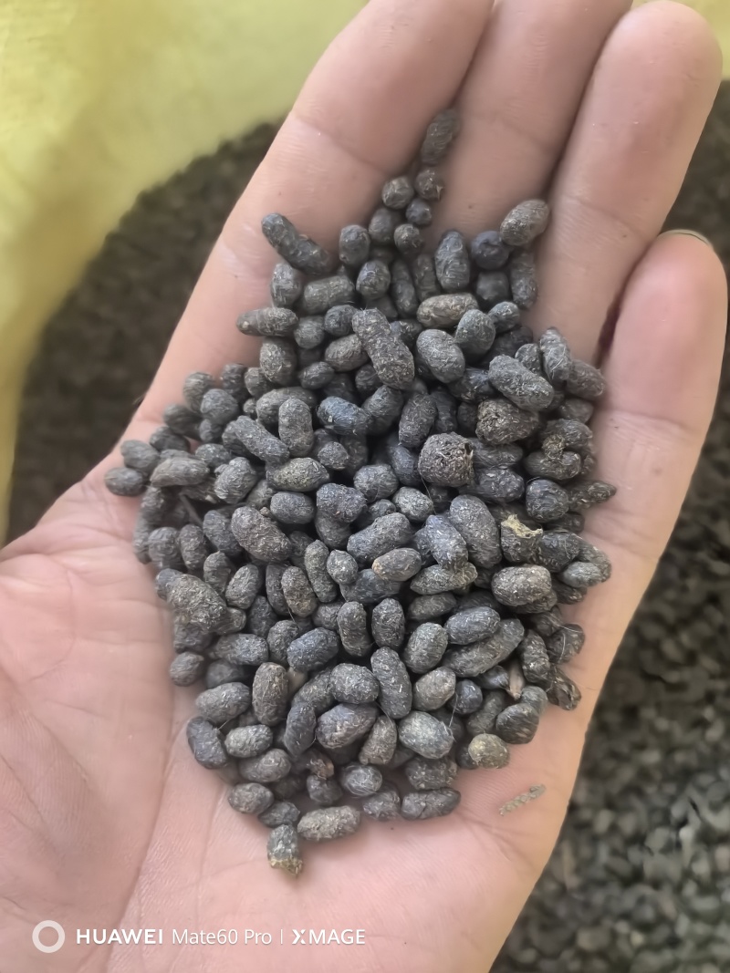 优质五灵脂源产地直发，不增重，不拌尿，不参假，放心好。