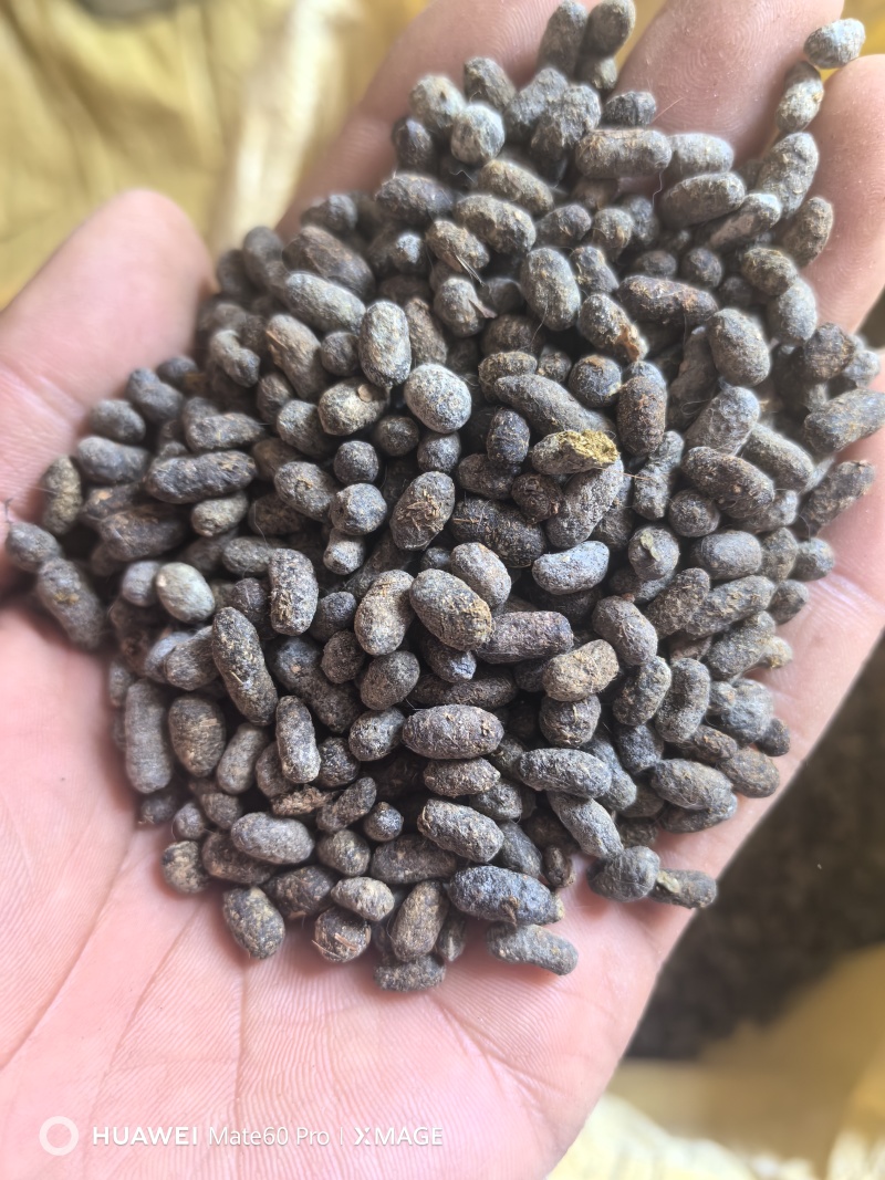 优质五灵脂源产地直发，不增重，不拌尿，不参假，放心好。