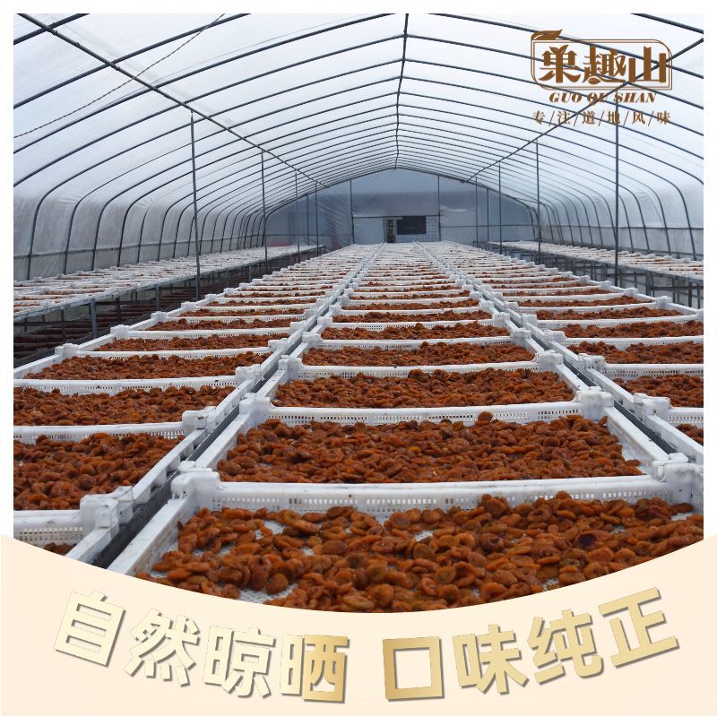 刺梨果脯