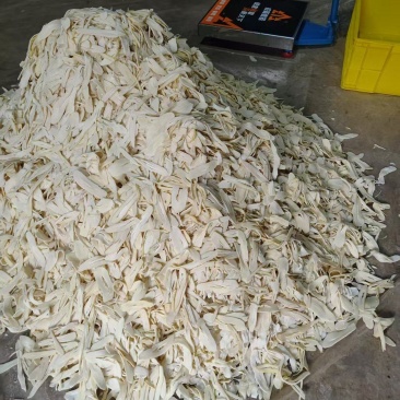 笋片新货江西毛竹笋闽笋压榨笋一斤泡发4斤水发酒店餐饮麻辣