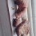 鸡宝，看看货能给多少一克，