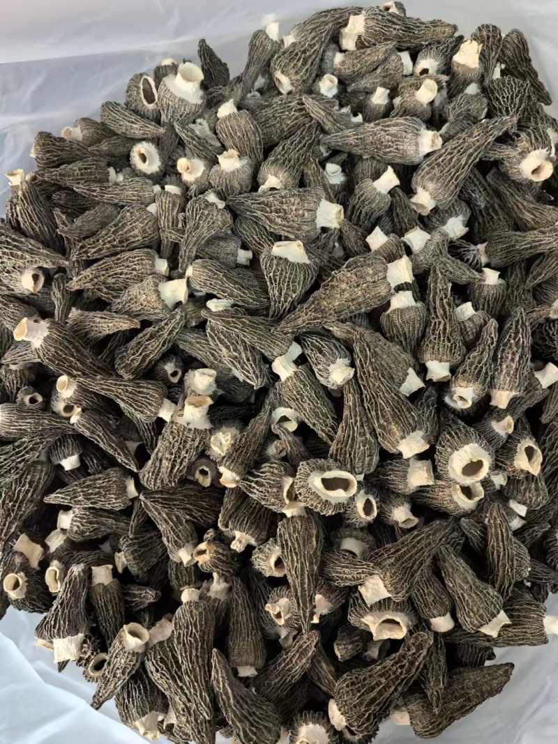 热卖一斤产地批发羊肚菌肉厚头茬细纹礼盒装羊肚菌产包邮
