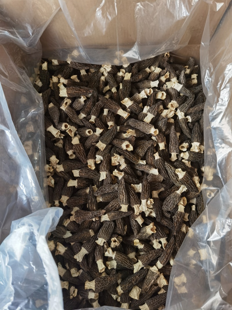 热卖一斤产地批发羊肚菌肉厚头茬细纹礼盒装羊肚菌产包邮