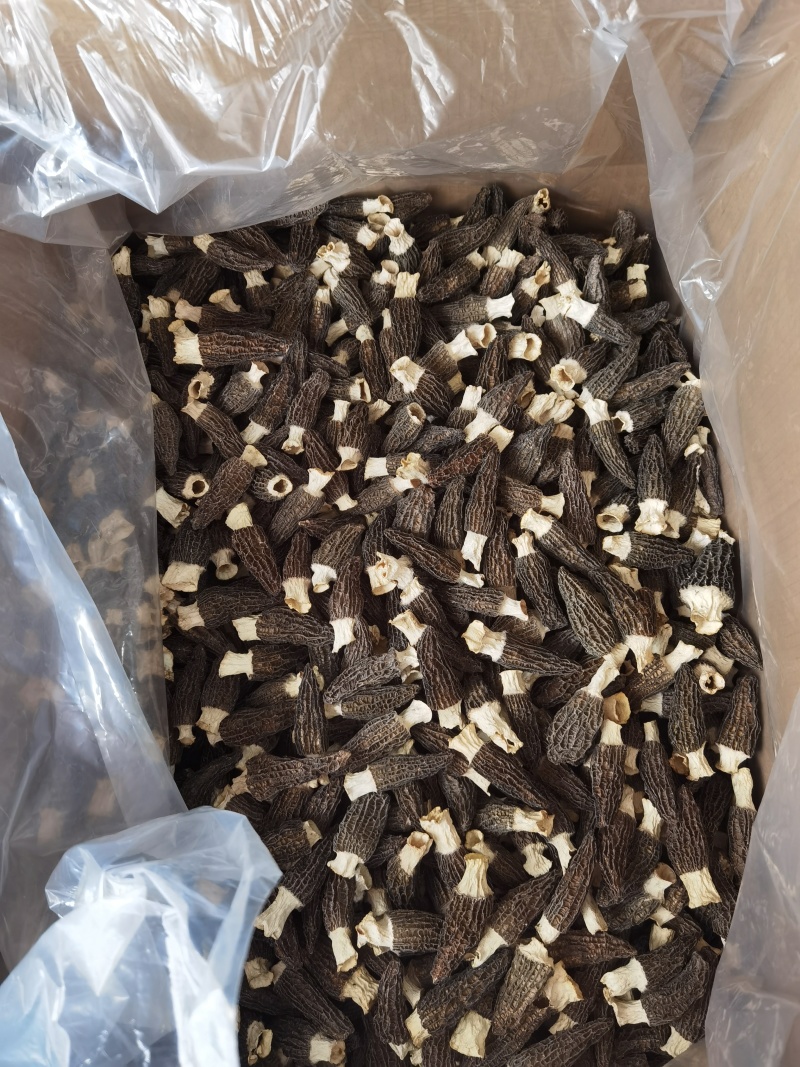 热卖一斤产地批发羊肚菌肉厚头茬细纹礼盒装羊肚菌产包邮
