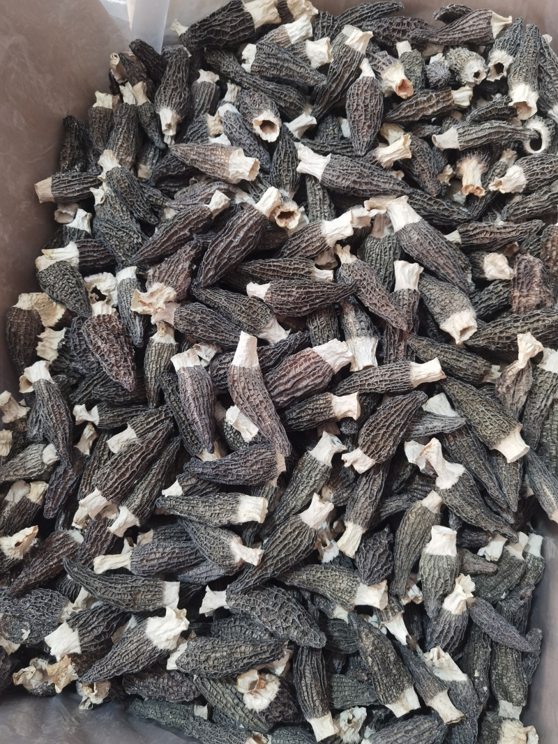 热卖一斤产地批发羊肚菌肉厚头茬细纹礼盒装羊肚菌产包邮
