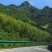 安徽泾县高山绿茶