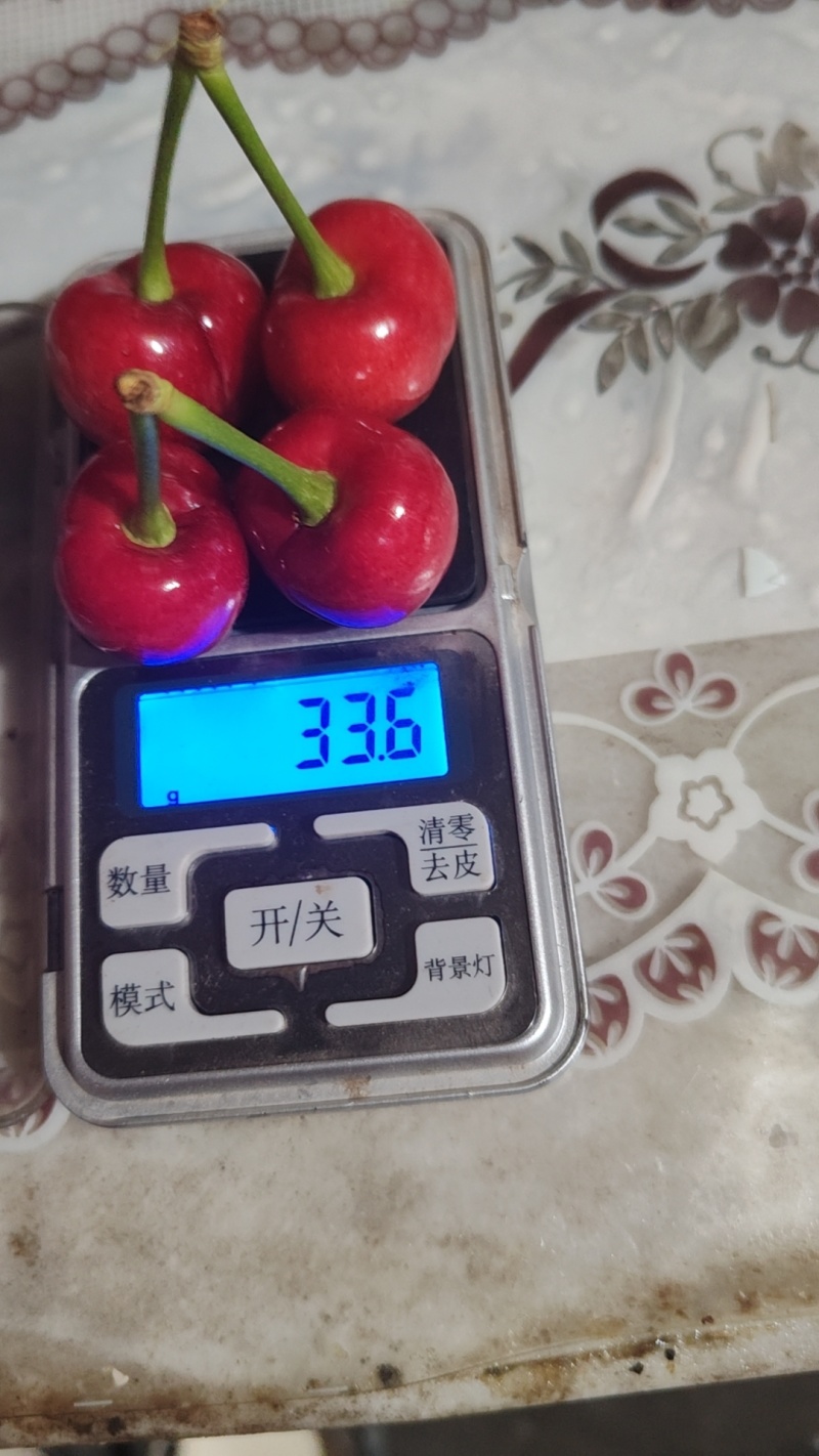 露天樱桃已经开始，价格合理刚刚上市质量优